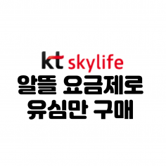 KT 스카이라이프 유심만구매